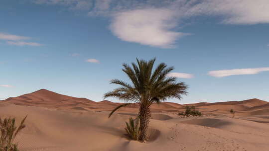 沙漠的风景视频素材模板下载