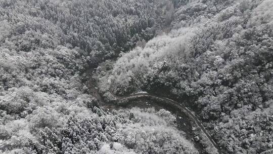 冬天森林雪景溪流