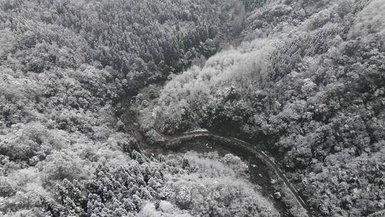 冬天森林雪景溪流视频素材模板下载