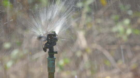 水龙头洒水