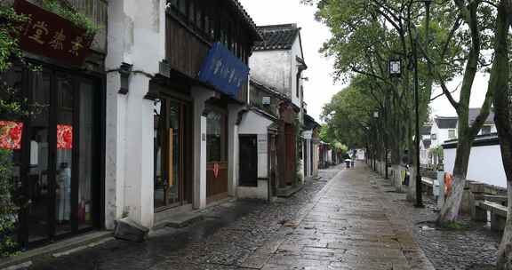 清晨春雨谷雨江南水乡古街 苏州平江路