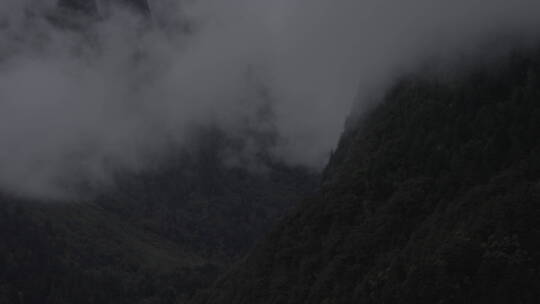 雨崩村云雾