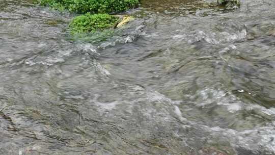 清澈河水河流水源水流溪流溪水