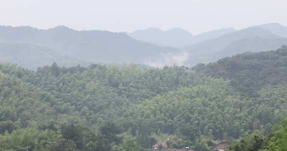 绿色山林森林竹海云海云雾安徽山区远景特写