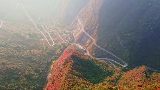 三峡红叶