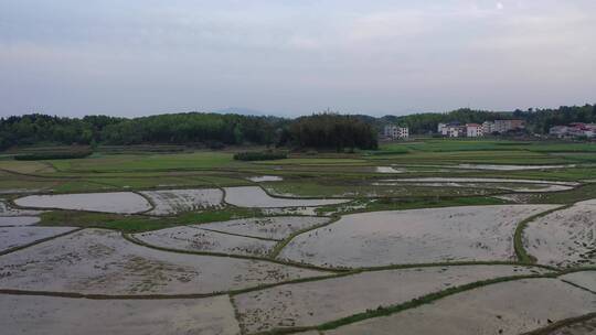 山区梯田视频素材模板下载