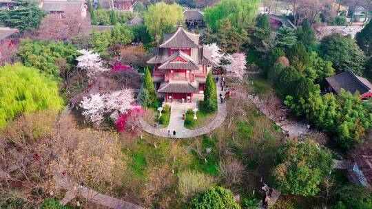 航拍西安青龙寺