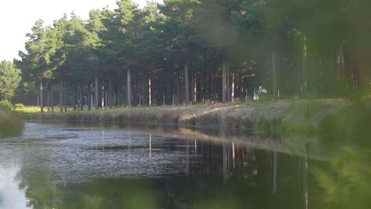 阳光森林湖景