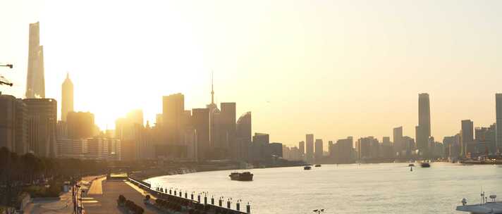 黄浦江畔海鸥飞过城市建筑的黄昏全景