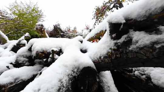 下雪   雪景  慢镜头