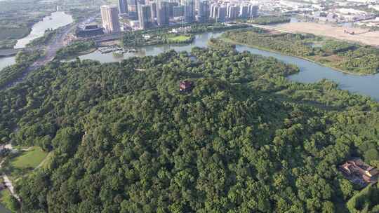 浙江绍兴镜湖国家城市湿地公园航拍视频素材模板下载