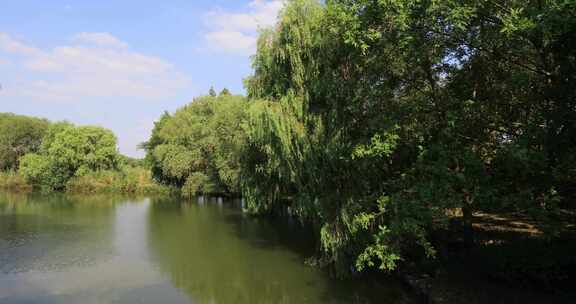 蓝天白云苏州太湖湿地国家森林公园自然风光