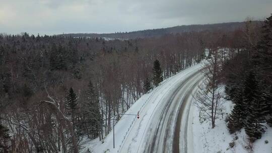 冬季日本北海道雪原森林公路风光