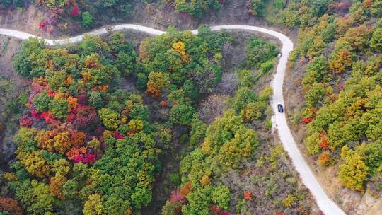 车辆在秋天色彩斑斓的山路上行驶