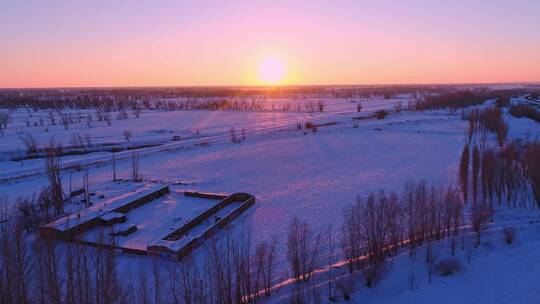 新疆天山夕阳下的林海雪原