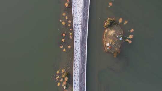 广州增城荔湖公园湖中央道路航拍