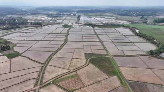 江西金溪：春日田园宛如大地调色板