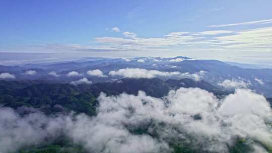 航拍云雾森林山林青山自然美景