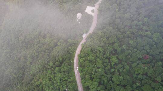 弯曲的山路