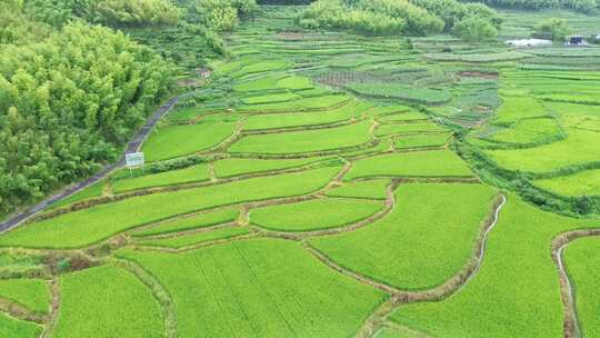 山间田野