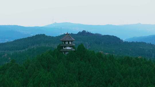 航拍翠云廊森林山林风景