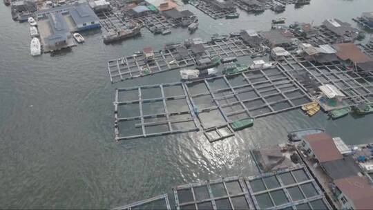 海南岛中国水上渔业社区的鸟瞰图