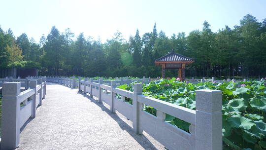 武汉汉阳江滩公园风景