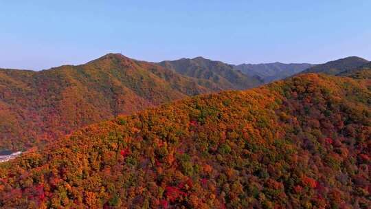 辽宁本溪秋天枫叶本桓公路