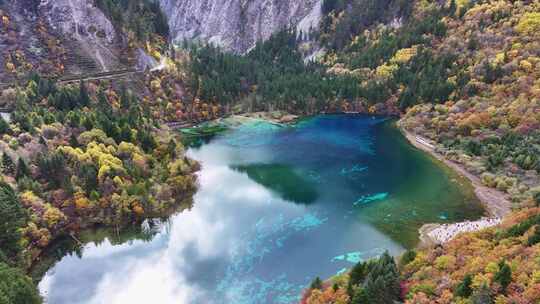 航拍九寨沟秋天五花海彩林最美水景秋景