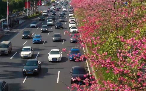 民族大道 车水马龙 车流