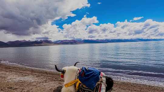 西藏高原湖泊纳木错