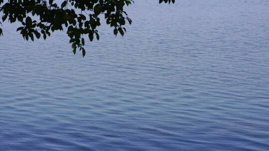 湖水波纹慢镜头