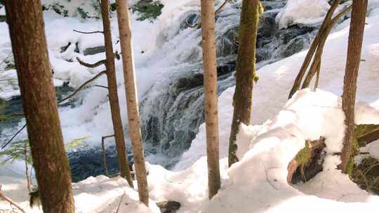 树木，溪流，冬天，雪