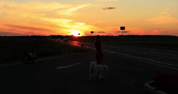 夕阳下牵狗散步