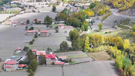 航拍四川甘孜新都桥甲根坝彩林秋景风光