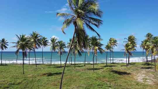 巴西东北部的热带旅游目的地。萨尔瓦多巴伊亚巴西。