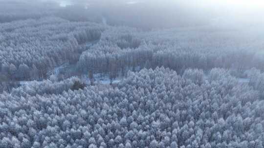 航拍林海雪原雾凇阳光