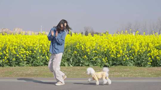 青春美女和可爱泰迪犬在春天油菜花田野玩耍