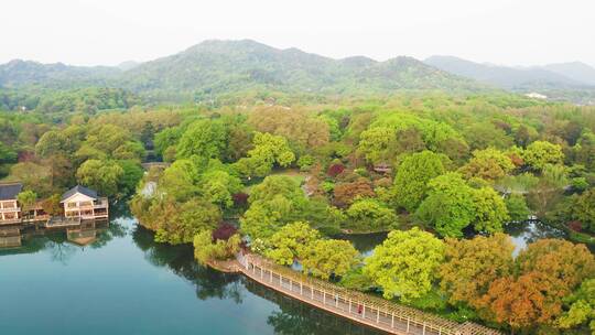 杭州西湖十景花港公园春天航拍