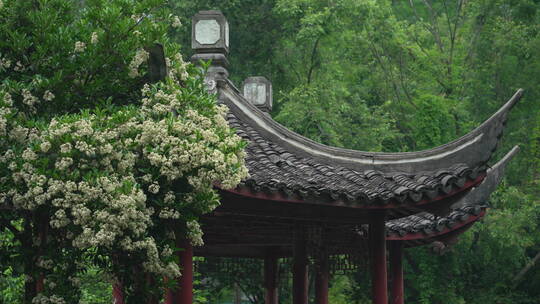 中国科学院武汉植物园联谊亭