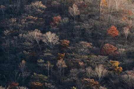 征程吟唱 轻快 抒情 典礼 庆典 舞台