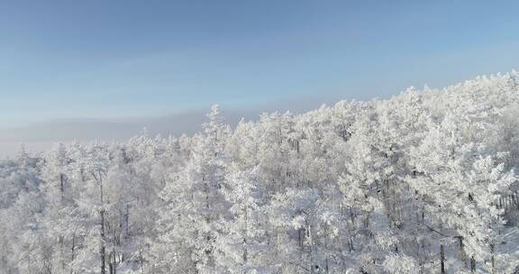 零下40度的低温航拍大兴安岭冰雪雾凇