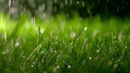 绿草下雨