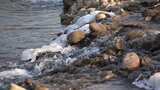 水 河流 小溪 风景 水流 河道 河 风光高清在线视频素材下载