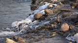 水 河流 小溪 风景 水流 河道 河 风光高清在线视频素材下载