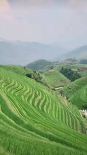 青山上的风景，周末时光不可辜负，风景