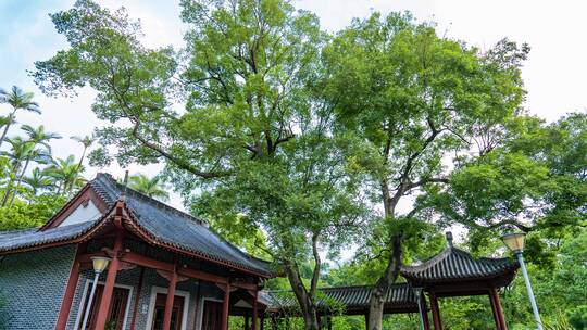 中式古建筑庭院