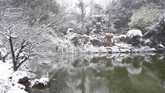 公园雪景