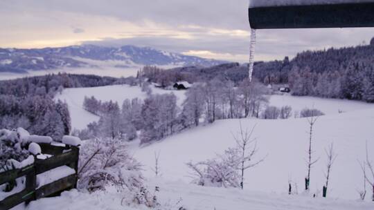 冬季雪地的自然景观