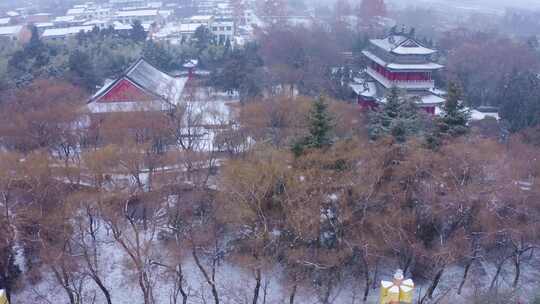 楼观台 雪景